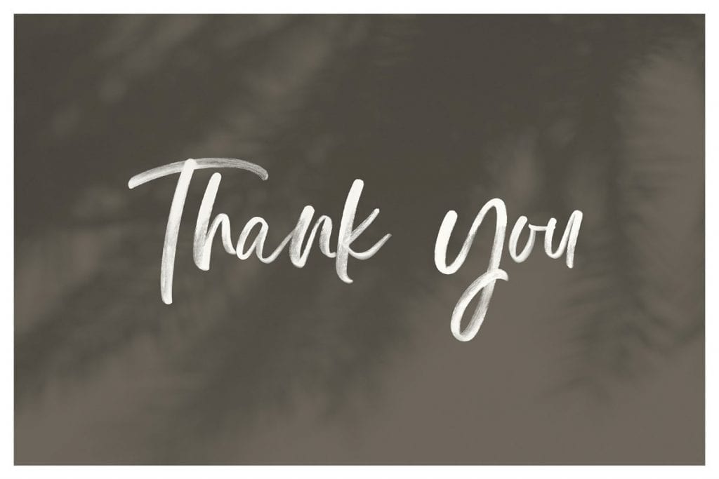 Display Signature Font - SVG