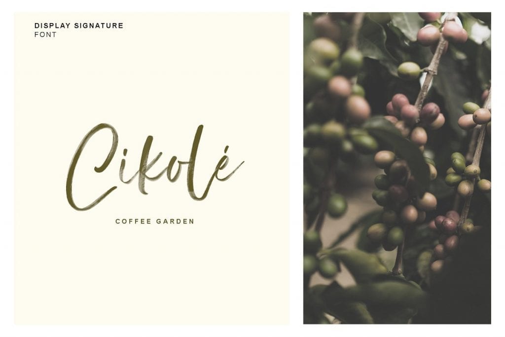 Display Signature Font - SVG