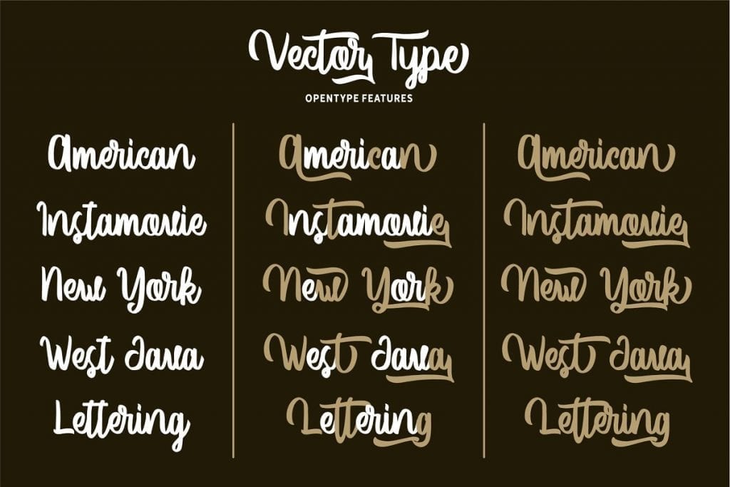 Vector Type - New Script Font