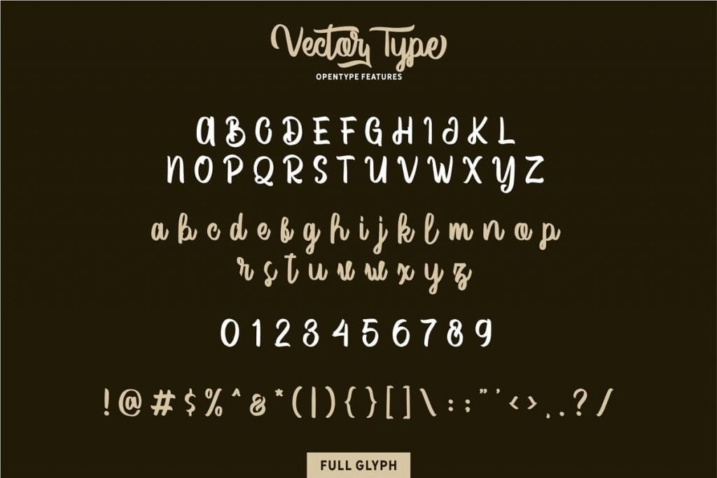 Vector Type - New Script Font