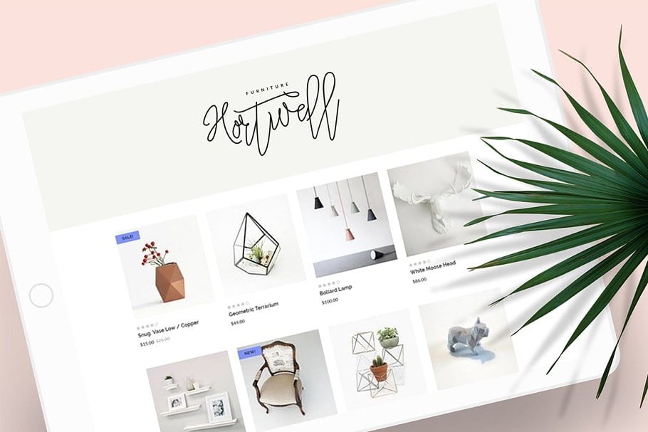 The Tropical Script Font