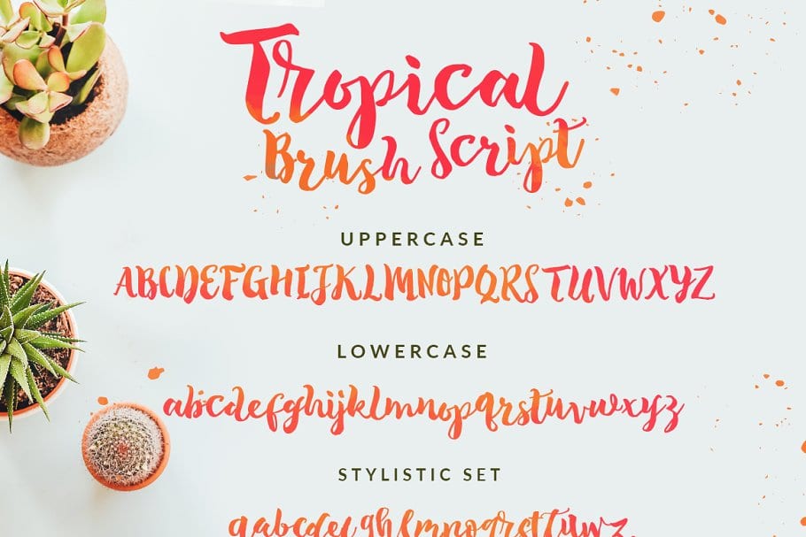 The Tropical Script Font