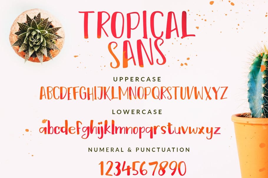 The Tropical Script Font