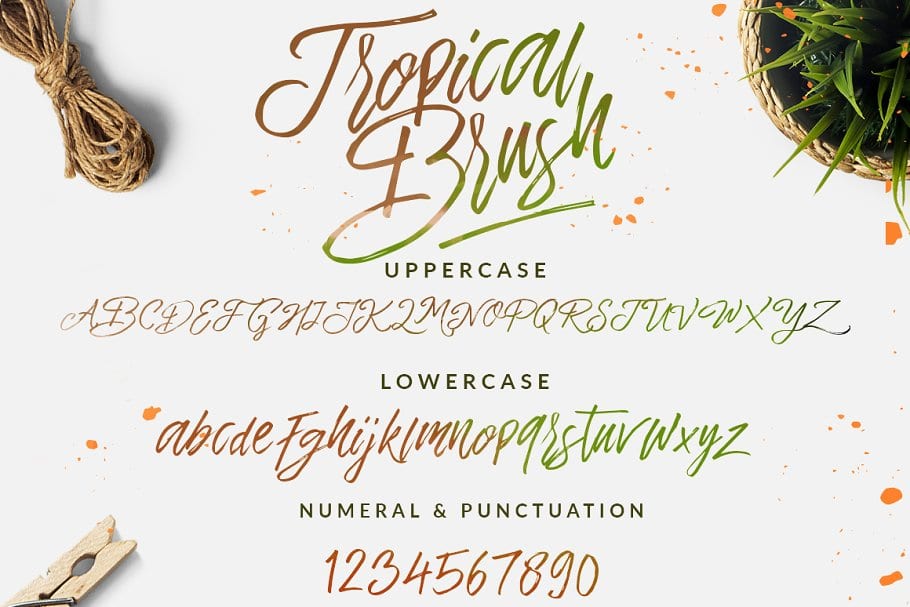 The Tropical Script Font