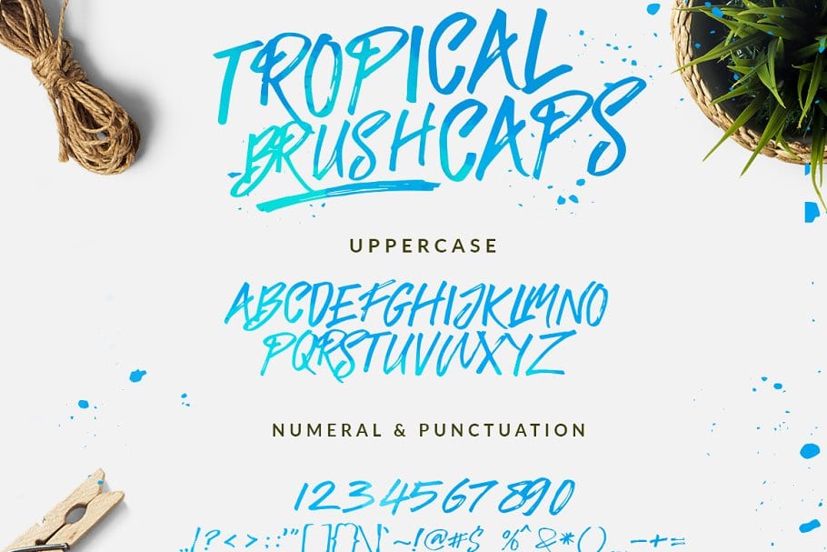 The Tropical Script Font