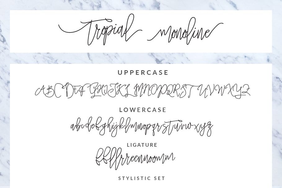 The Tropical Script Font