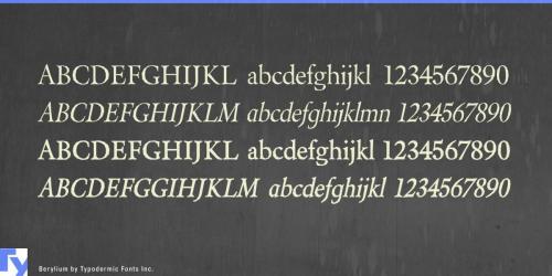 Berylium Font 6