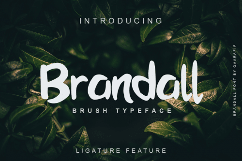 Brandall Font