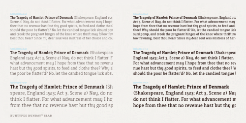 Bunday™ Slab Font Family 14