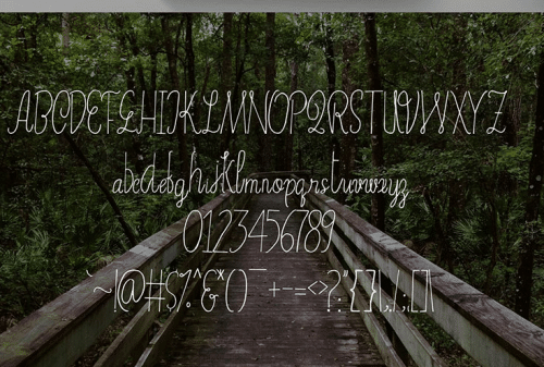 Erica-Fonts-1