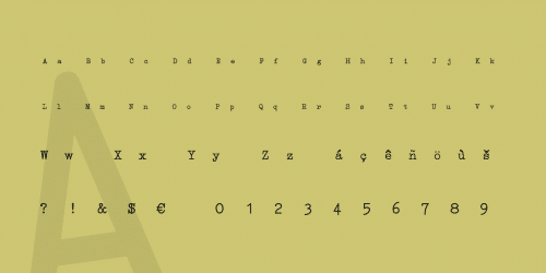 Erica Type Font Family 2