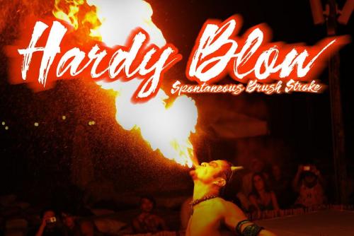 Hardy Blow Script Font 1