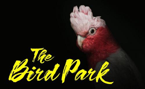 Hardy Blow Script Font 3