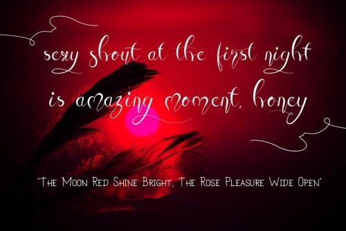 Honey Moon Midnight Free Font 6