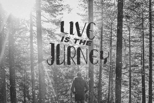 Lumberjack Font Family 5