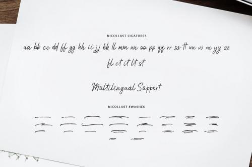 Nicollast Handwritten Brush Font 10