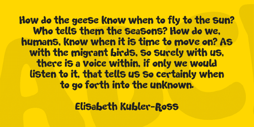 Soft Marshmallow Font 2