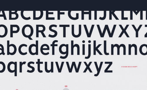 Vision-Sans-Font-Family-1