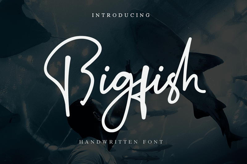 Bigfish Handwritten Font