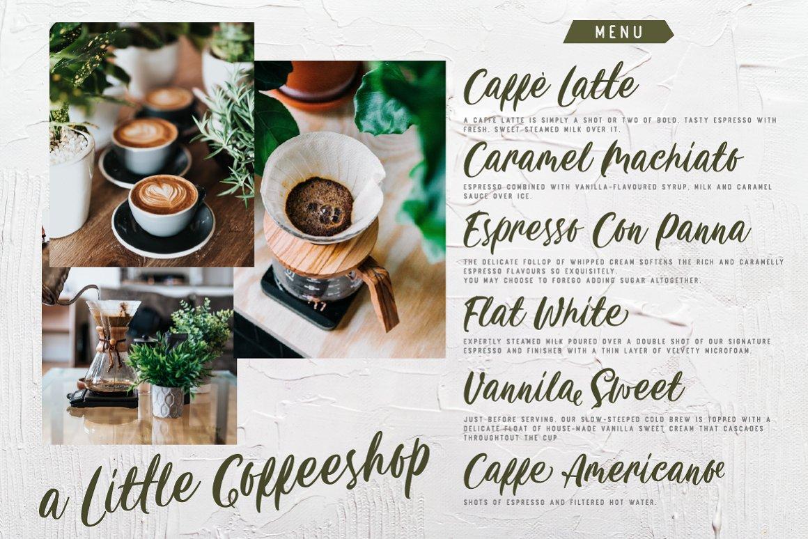 Carily Fresh Modern Script Font 11