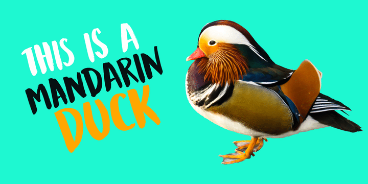 DK Mandarin Whispers Font 4