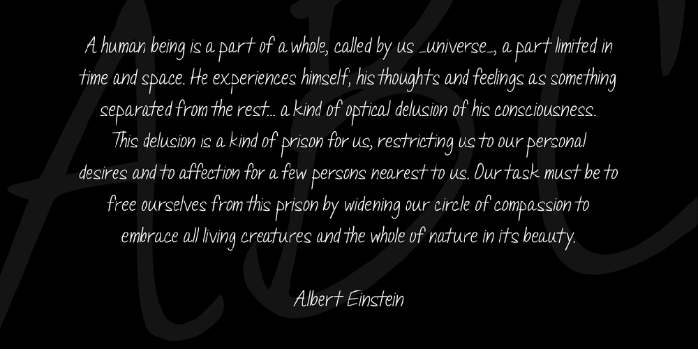 Janda Quick Note Font 2