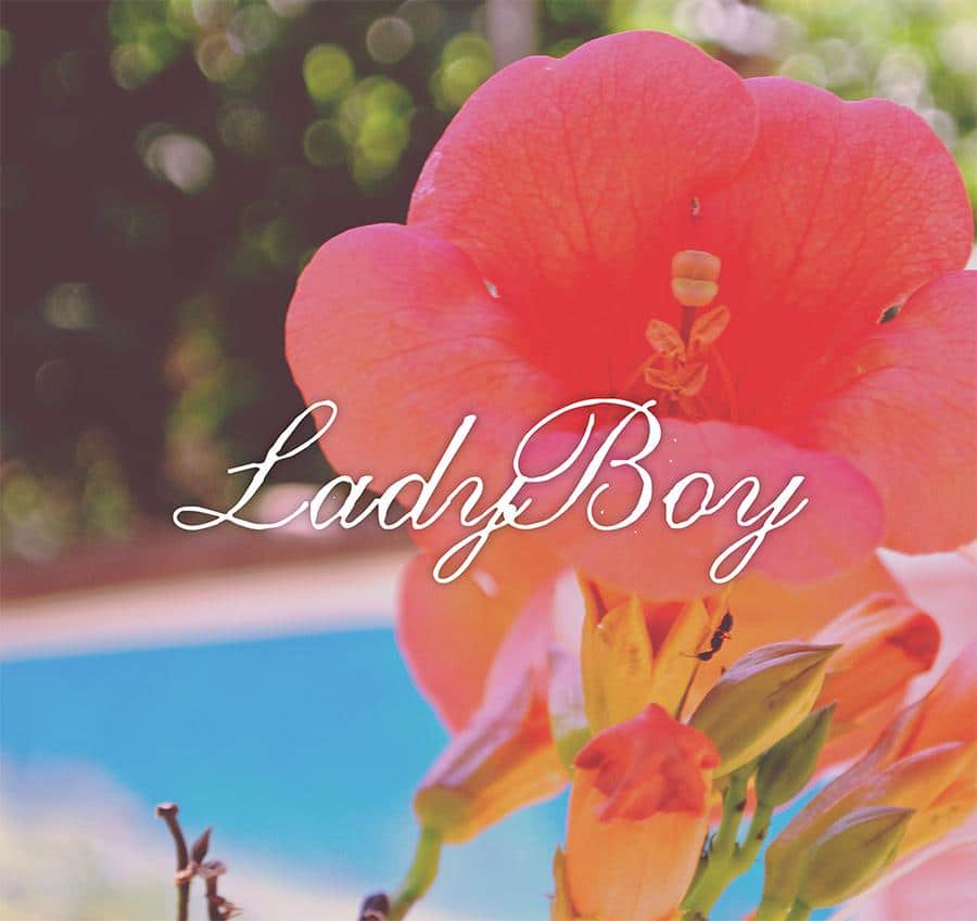 Ladyboy Font
