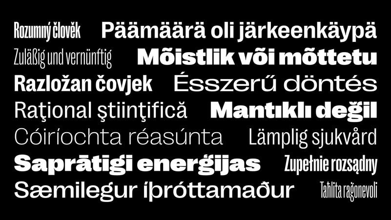 Right Grotesk Font 3