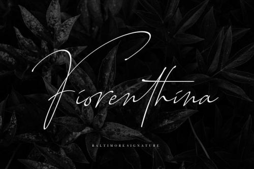 Baltimore Regular Font 5