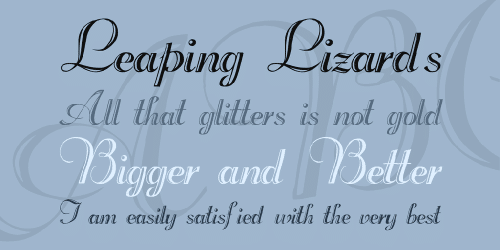 Beachman Script Font 1