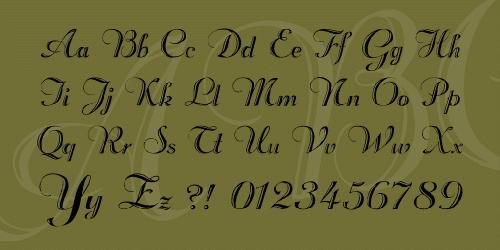 Beachman Script Font 2