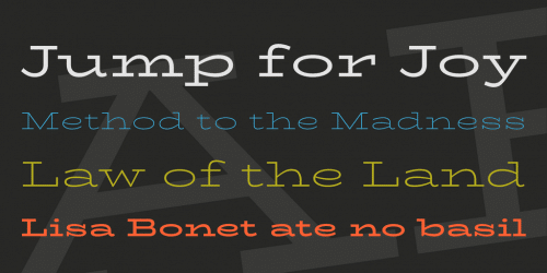 Biorhyme Expanded Font 1