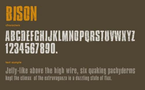 Bison Font