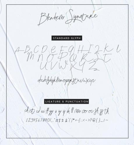 Blenheim Signature Font 7