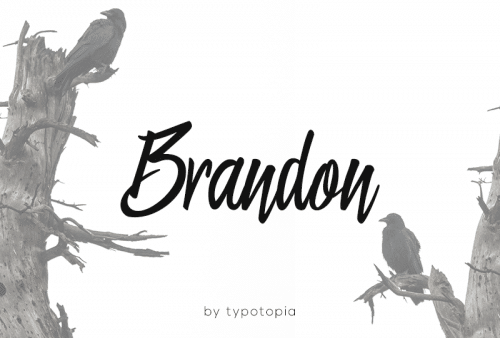 Brandon Font