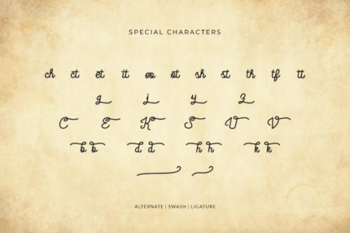Bridette Font 3