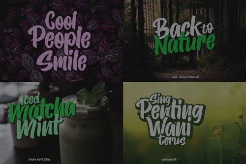 Buchin Sans Serif Font 11