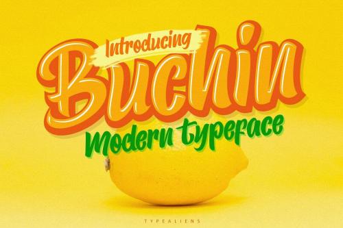 Buchin Sans Serif Font 3