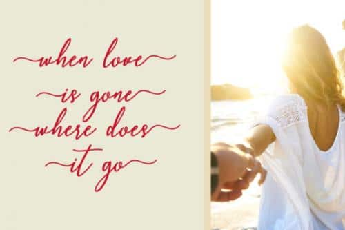 Capital Script Font 7