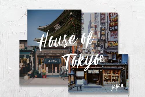 Carily Fresh Modern Script Font 13