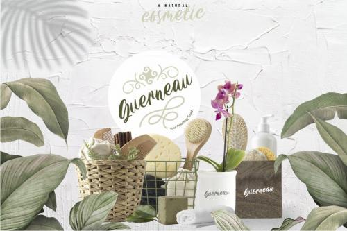Carily Fresh Modern Script Font 14