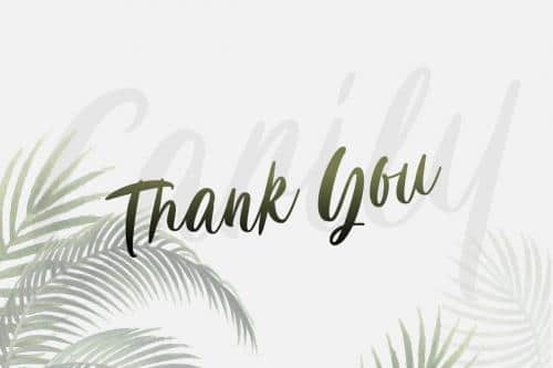Carily Fresh Modern Script Font 17