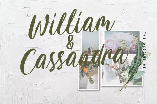 Carily Fresh Modern Script Font 7