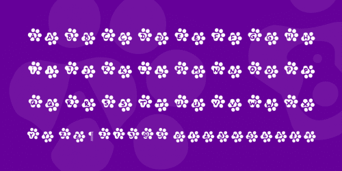 Catty Font 2