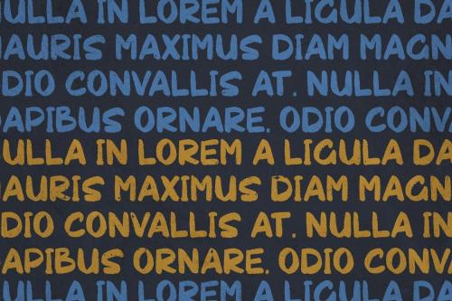 Chakie Retro Brush Font 9