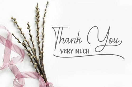 Chandelle Signatures Script Font 12