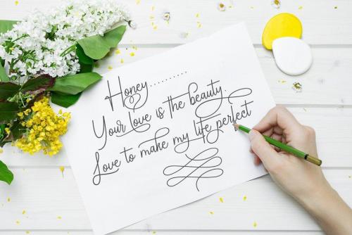 Chandelle Signatures Script Font 6