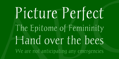 Chantelli Antiqua Font 1