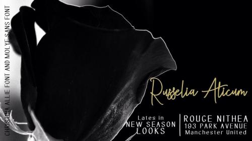 Christina Allie Script Font 4