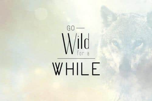 Fancy Font Family 6